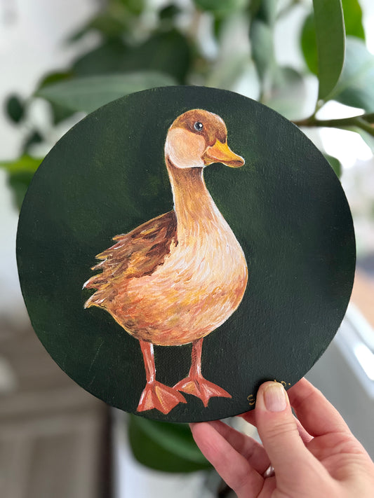 "Elegant Duck on Dark" Canvas Painting